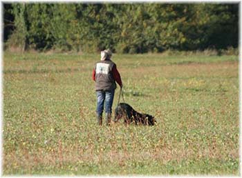 Elevage du CLOS DE LA LUETTE - COPYRIGHT DEPOSE